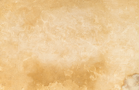 Opt AdobeStock_322650692